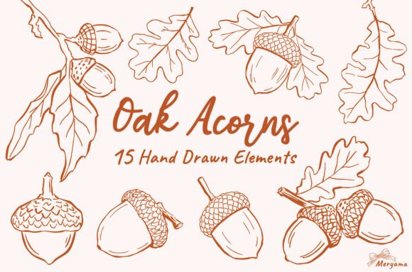 Download Hand Drawn Fall Oak Acorns Autumn SVG - Acorn Collection