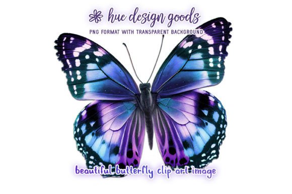 Download Beautiful Blue and Purple Butterfly - Blue Collection